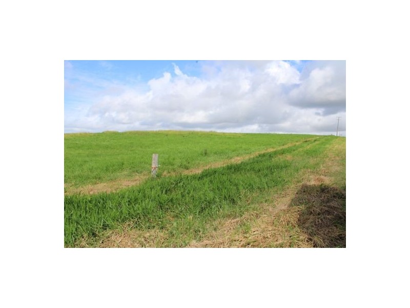 Fitzgerald Creek QLD 4860