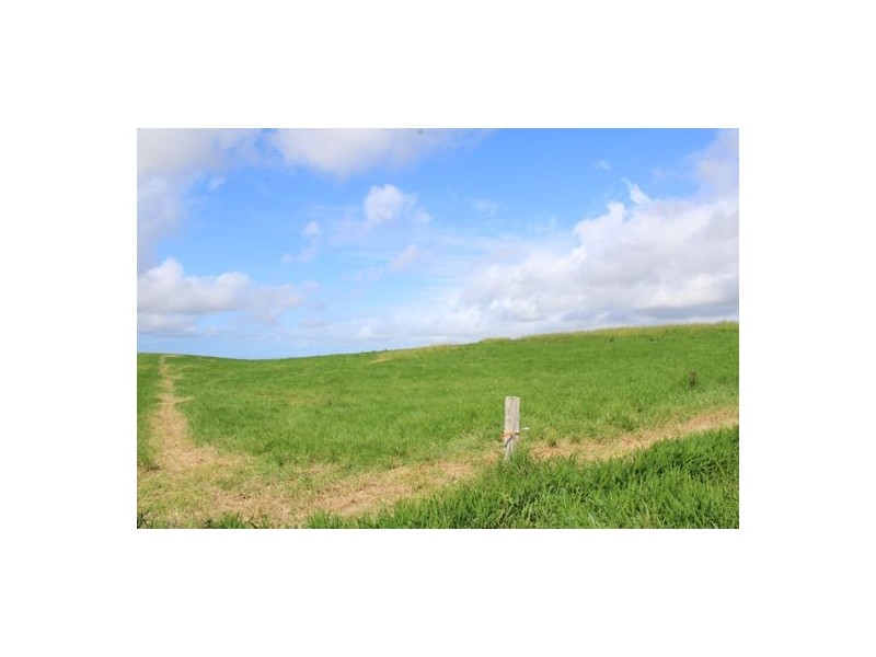 Fitzgerald Creek QLD 4860