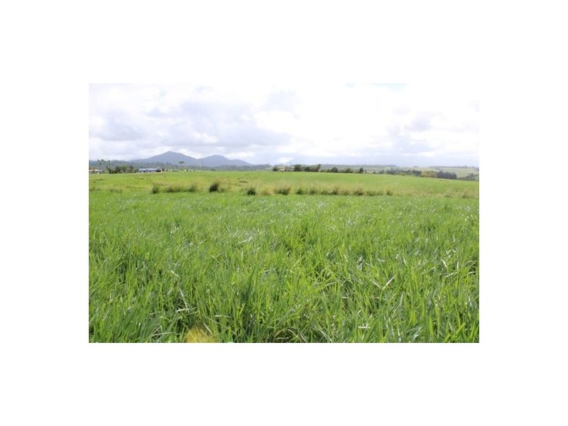 Fitzgerald Creek QLD 4860