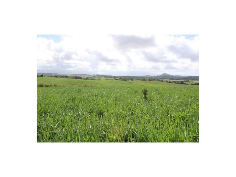 Fitzgerald Creek QLD 4860