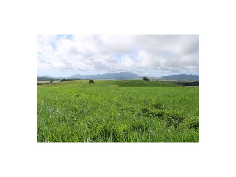 Fitzgerald Creek QLD 4860