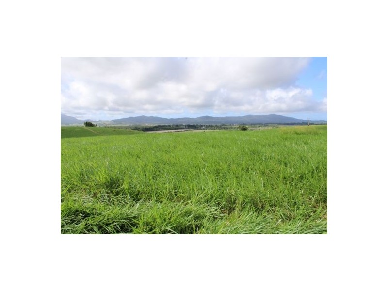 Fitzgerald Creek QLD 4860