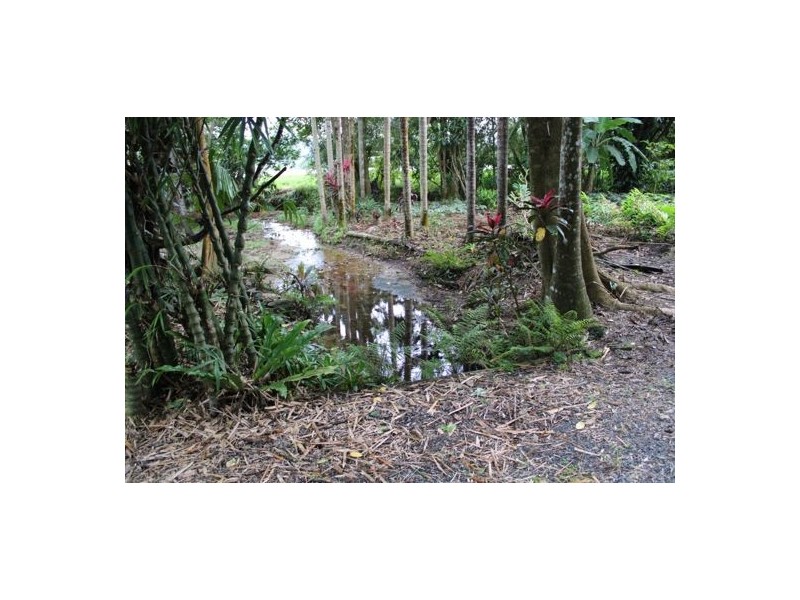 Bellenden Ker QLD 4871