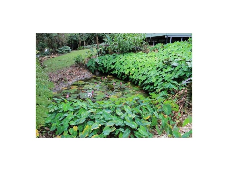 Bellenden Ker QLD 4871