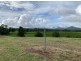 1 Rainforest Falls Road, East Palmerston QLD 4860