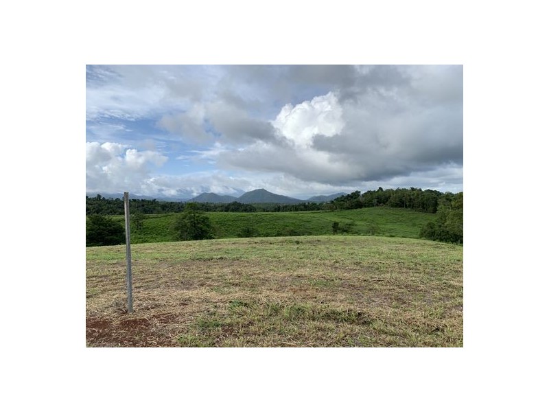 2 Rainforest Falls Road, East Palmerston QLD 4860