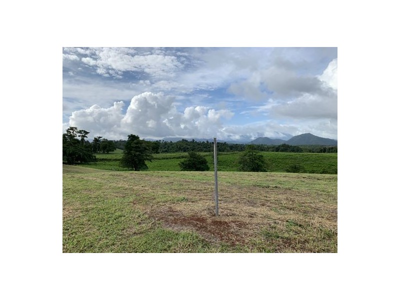 2 Rainforest Falls Road, East Palmerston QLD 4860