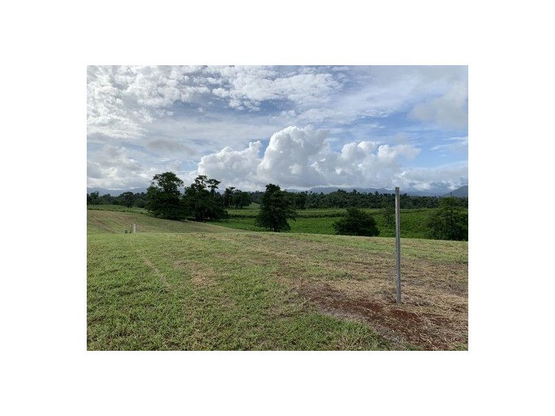 2 Rainforest Falls Road, East Palmerston QLD 4860