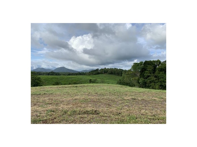 2 Rainforest Falls Road, East Palmerston QLD 4860