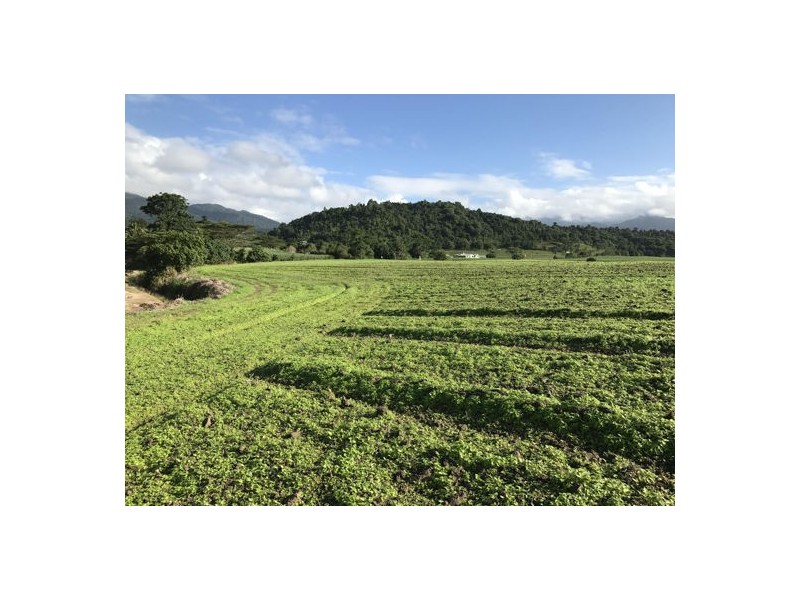 Lot 31 Healy Road, Babinda QLD 4861