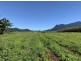 110 Menzies Road, Bartle Frere QLD 4861