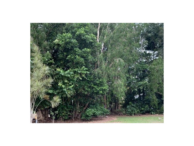 26 Sassafras St, Bramston Beach QLD 4871