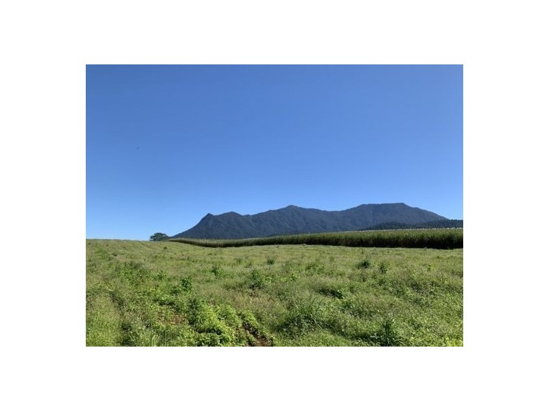 118 Menzies Road, Bartle Frere QLD 4861