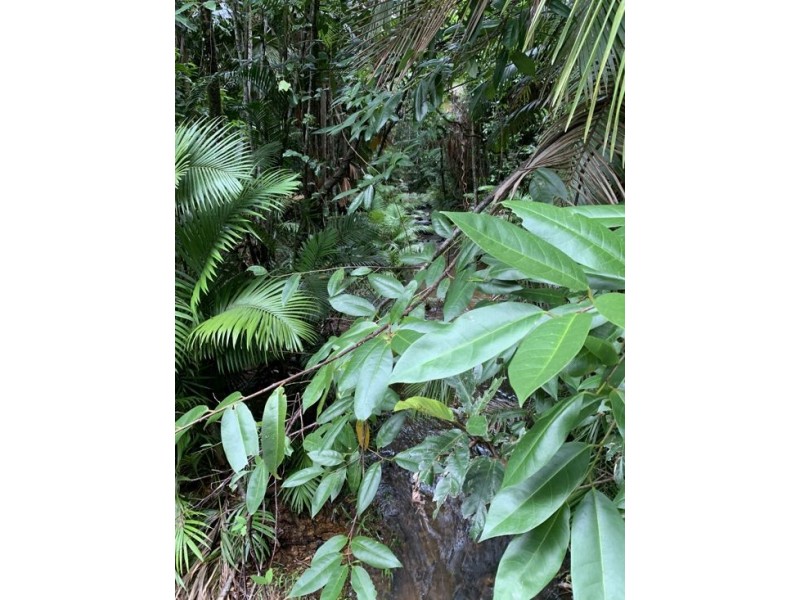 Lot 96 Greendale Court, Jubilee Heights QLD 4860