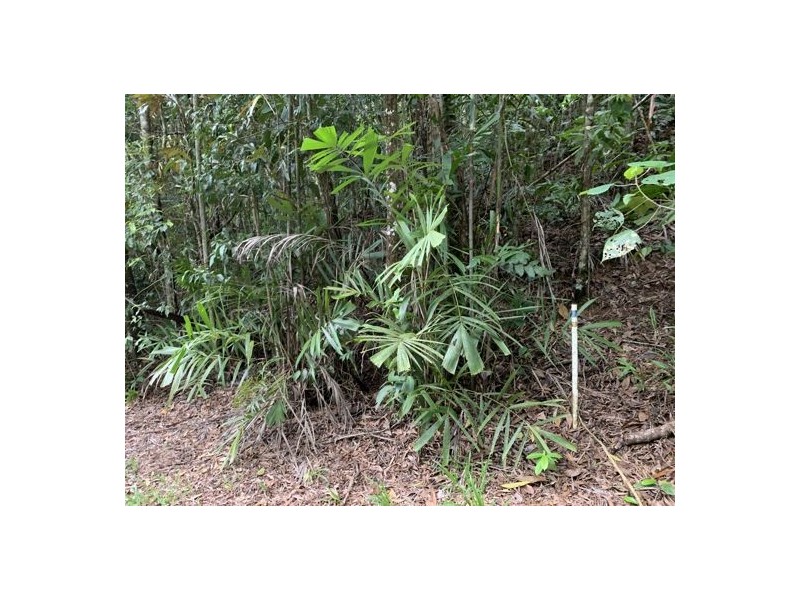 Lot 96 Greendale Court, Jubilee Heights QLD 4860