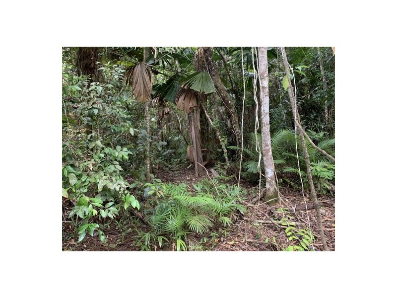 Lot 96 Greendale Court, Jubilee Heights QLD 4860