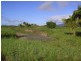 Babinda QLD 4861