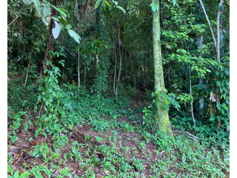 14 Jago Street, Babinda QLD 4861