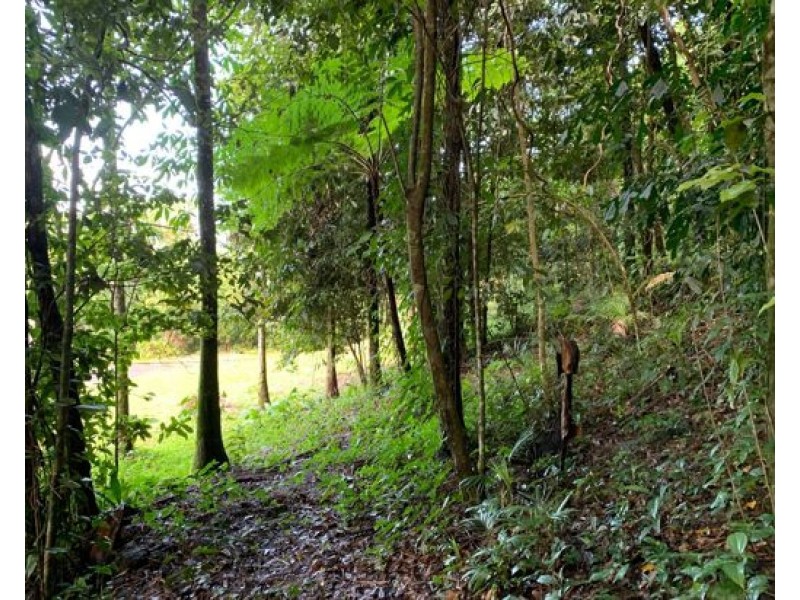 14 Jago Street, Babinda QLD 4861