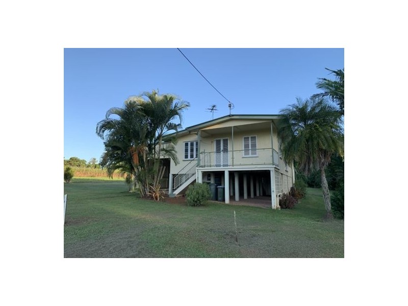 95 Carney Street, Daradgee QLD 4860