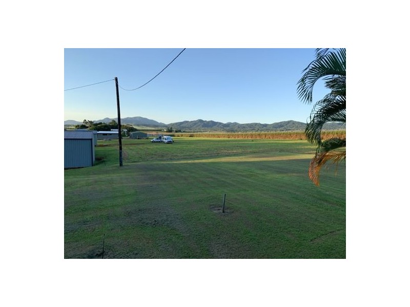 95 Carney Street, Daradgee QLD 4860