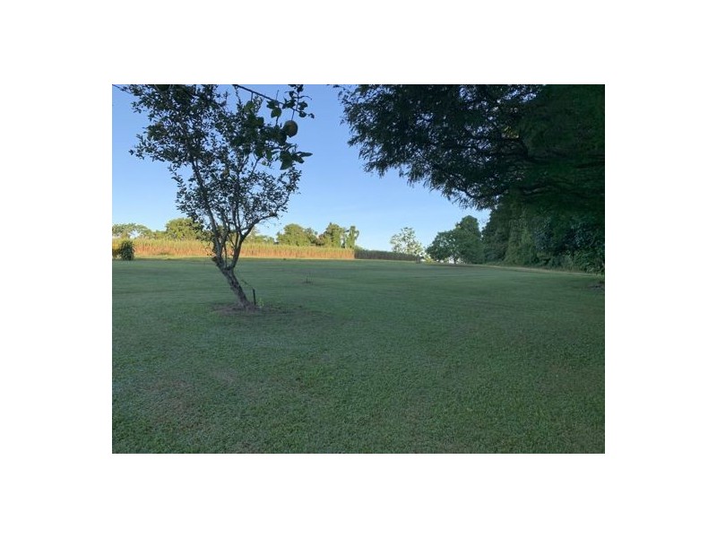 95 Carney Street, Daradgee QLD 4860