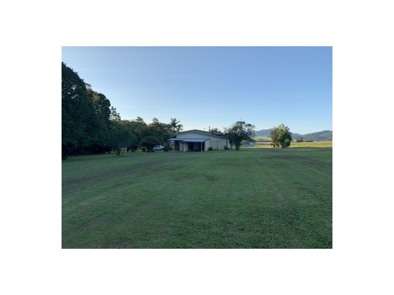 95 Carney Street, Daradgee QLD 4860