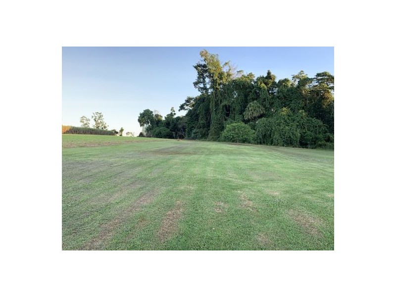 95 Carney Street, Daradgee QLD 4860