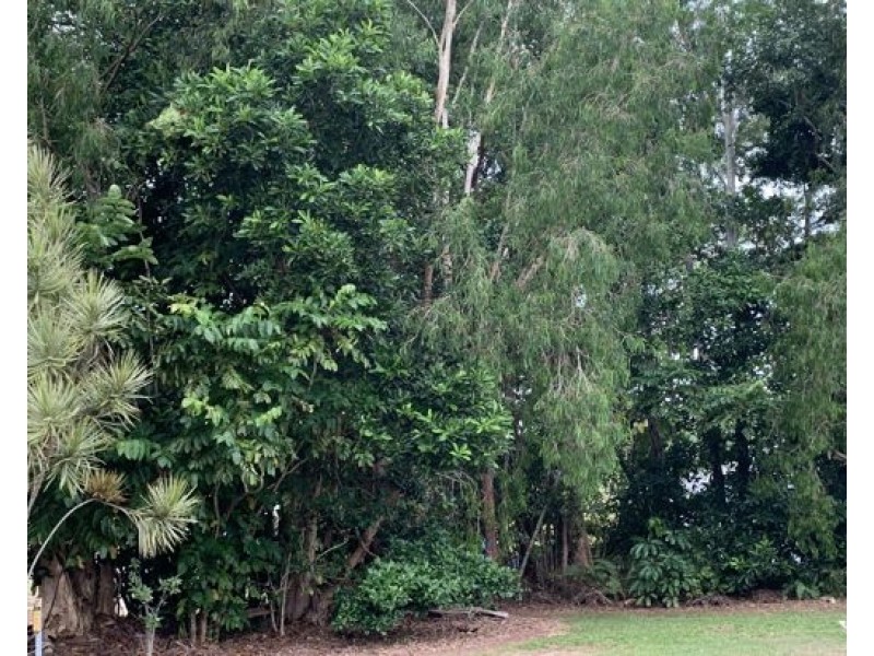 24 Sassafras Street, Bramston Beach QLD 4871