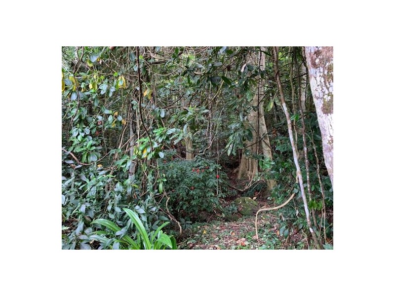 34 Parry Street, Babinda QLD 4861
