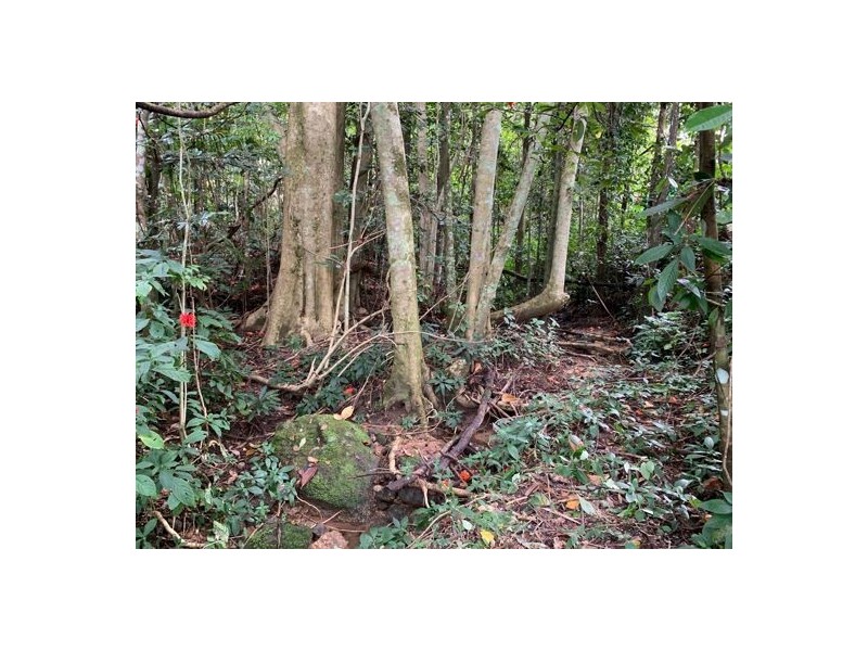 34 Parry Street, Babinda QLD 4861