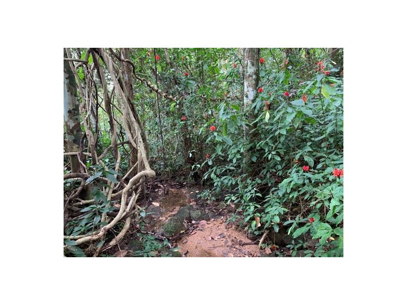 34 Parry Street, Babinda QLD 4861