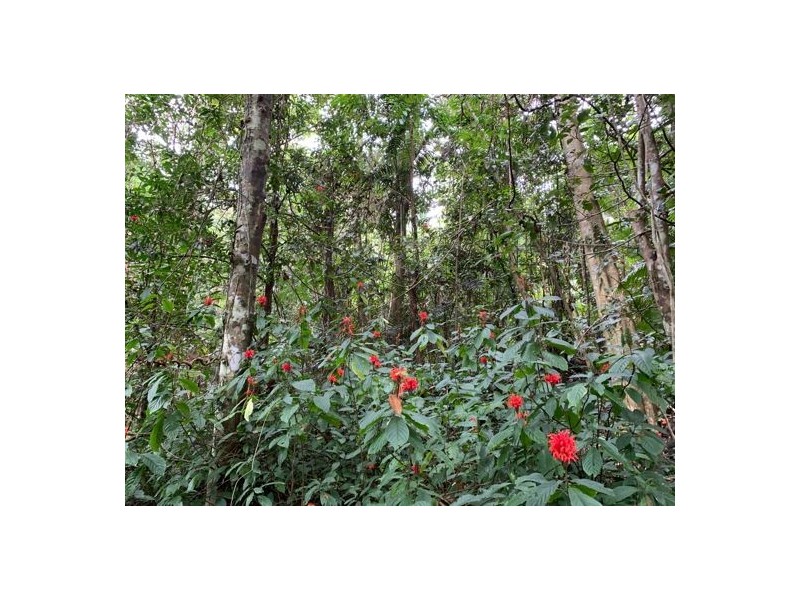 34 Parry Street, Babinda QLD 4861
