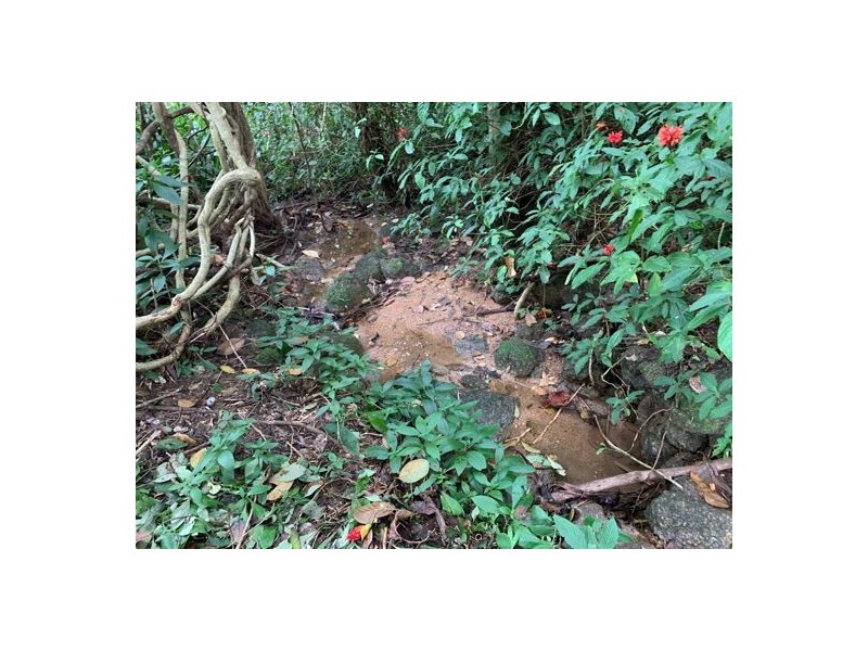 34 Parry Street, Babinda QLD 4861