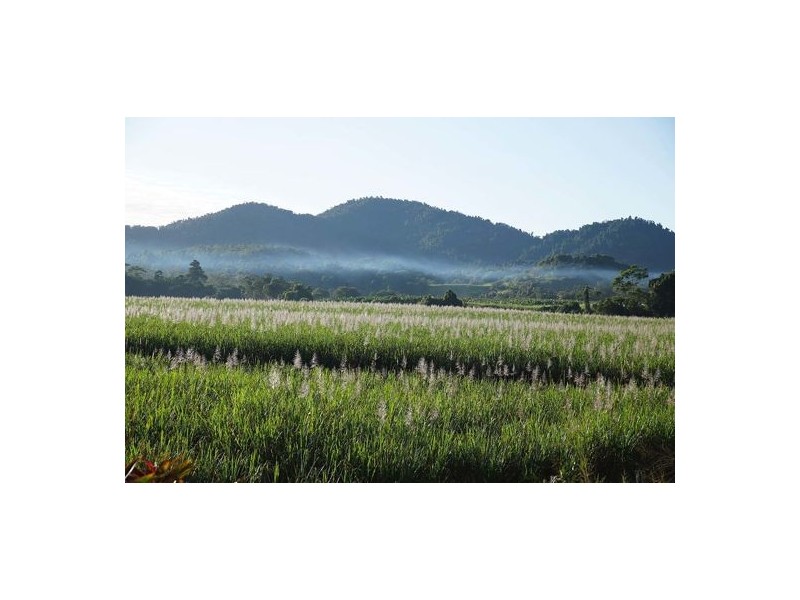 Woopen Creek QLD 4871