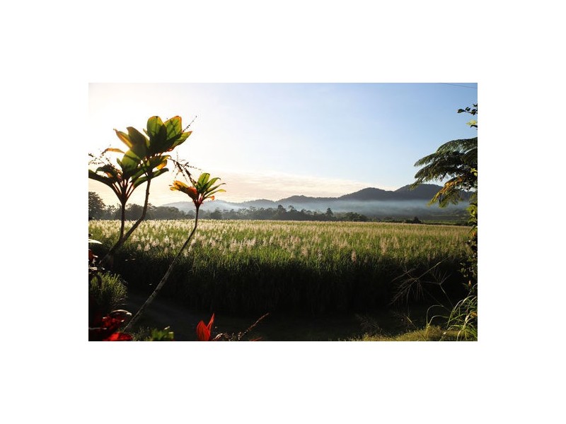 Woopen Creek QLD 4871