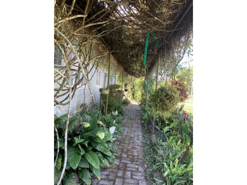 49 Jago Street, Babinda QLD 4861