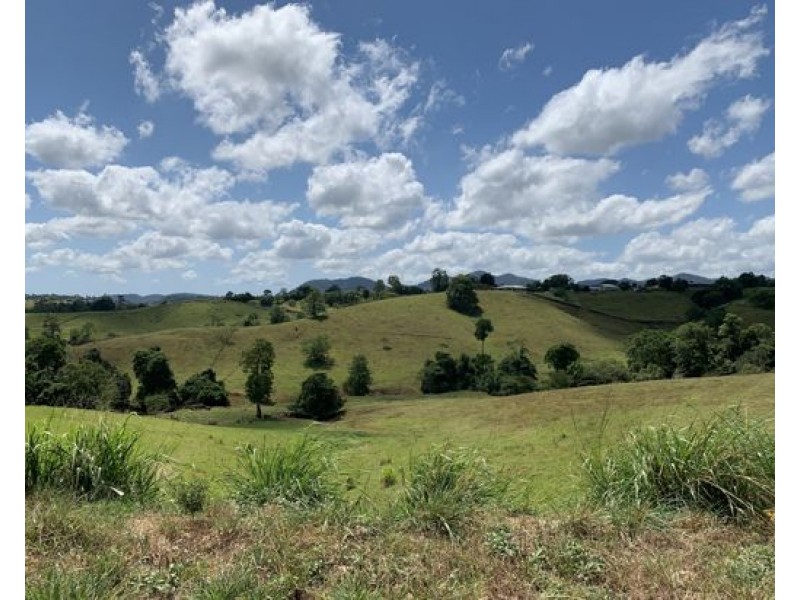 16 Dunne Road, East Palmerston QLD 4860