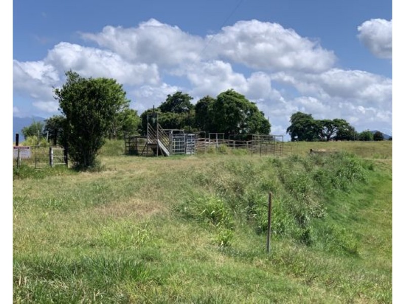 16 Dunne Road, East Palmerston QLD 4860