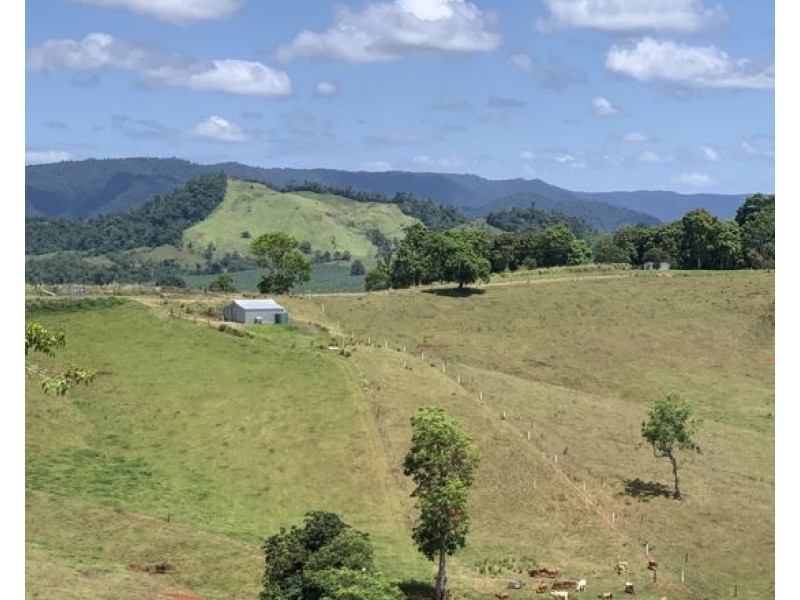 16 Dunne Road, East Palmerston QLD 4860