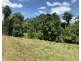 16 Dunne Road, East Palmerston QLD 4860