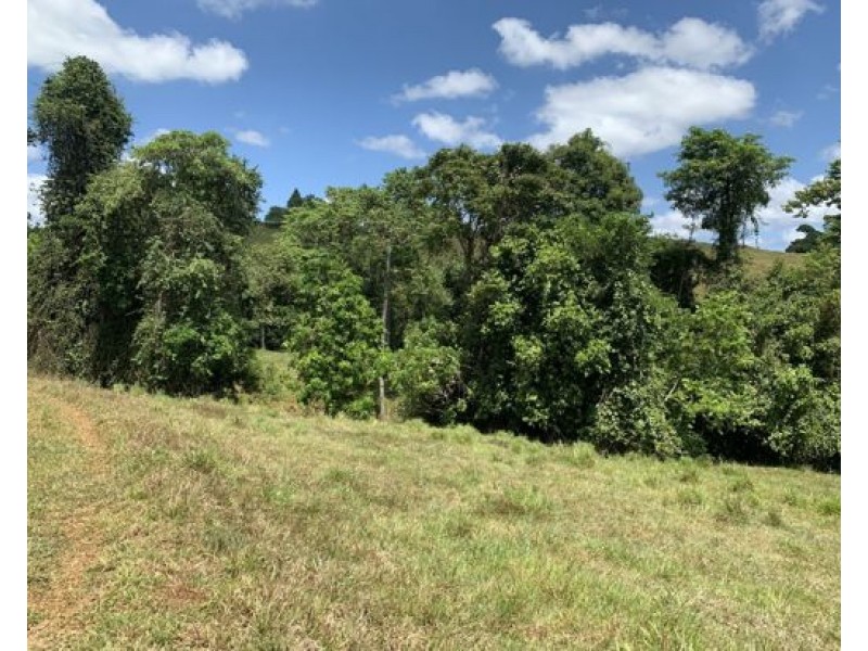16 Dunne Road, East Palmerston QLD 4860