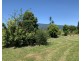 97 Dickson Road, Babinda QLD 4861