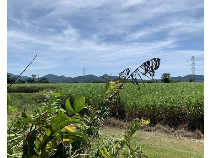 97 Dickson Road, Babinda QLD 4861