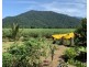 97 Dickson Road, Babinda QLD 4861