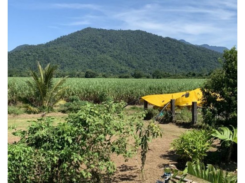 97 Dickson Road, Babinda QLD 4861