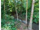 25 Howard Kennedy Drive, Babinda QLD 4861