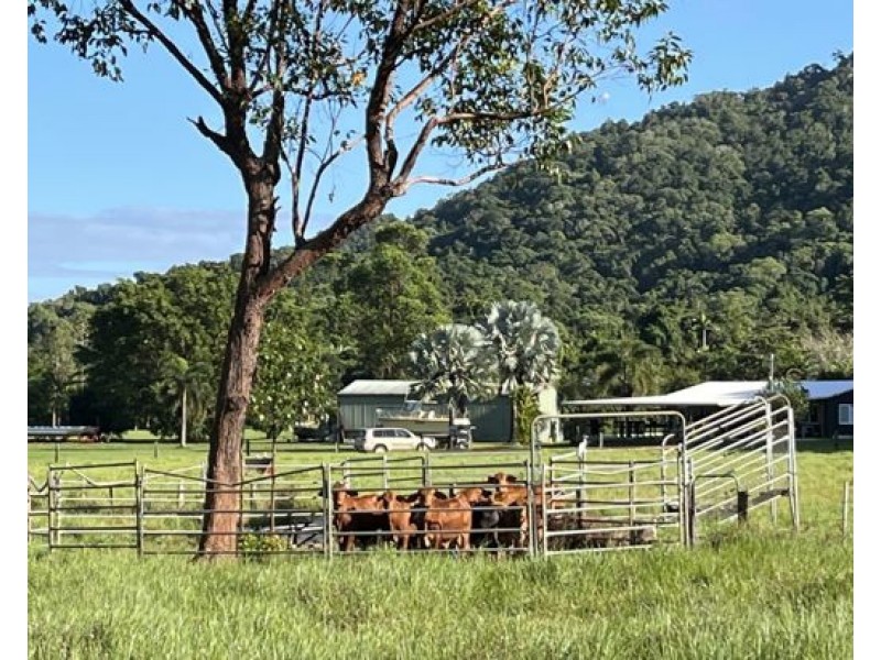 28 Mt Leeper Road, Mourilyan Harbour QLD 4858