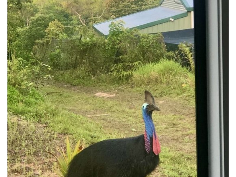 820R Bramston Beach Road, Bramston Beach QLD 4871