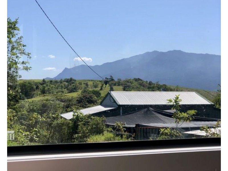 820R Bramston Beach Road, Bramston Beach QLD 4871